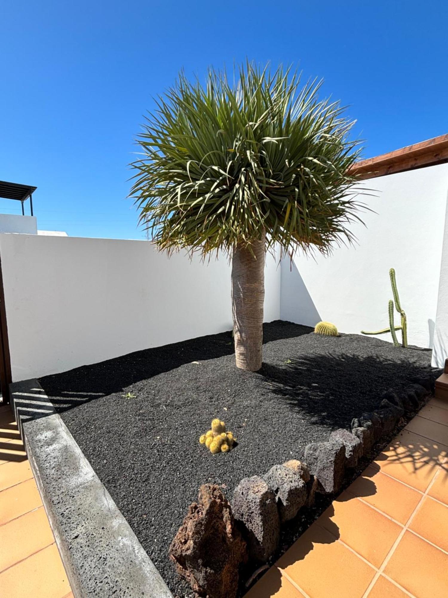 Rincon Oasis Nazaret Villa Екстериор снимка